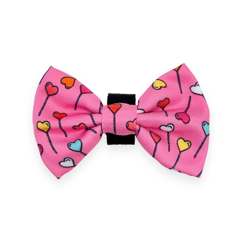 multi-pack necktie options-Bow Tie - Candypop