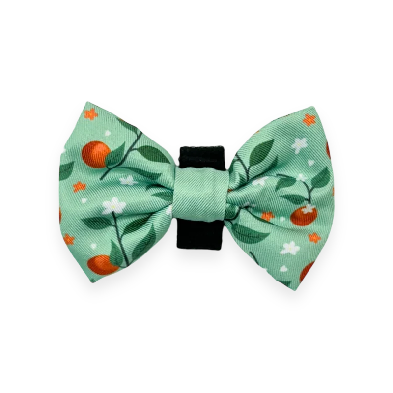 men's tie fashion trends-Bow Tie - Clemmie