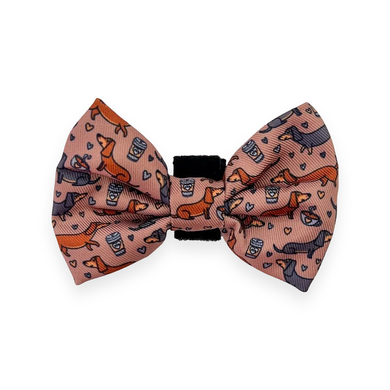 best bow ties for formal events-Bow Tie - Collar – Coffee Beans + Little Weens - Brown